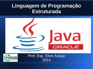 Linguagem de Programação 
Estruturada 
Prof. Esp. Elvis Araújo 
2014 
 