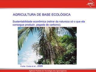 AGRICULTURA DE BASE ECOLÓGICA Sustentabilidade econômica (retirar da natureza só o que ela consegue produzir, pegada de carbono);  Fonte: Costa et al ., 2009 
