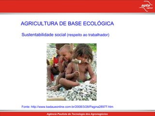 AGRICULTURA DE BASE ECOLÓGICA Sustentabilidade social  (respeito ao trabalhador) Fonte: http://www.badaueonline.com.br/2008/3/28/Pagina28977.htm 