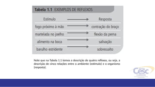 Note que na Tabela 1.1 temos a descrição de quatro reflexos, ou seja, a
descrição de cinco relações entre o ambiente (estímulo) e o organismo
(resposta).
 
