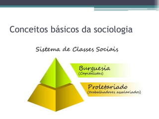 Conceitos básicos da sociologia
 