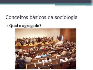 Conceitos básicos da sociologia
• Qual o agregado?
 