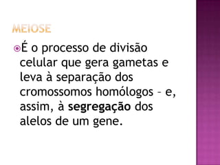É o processo de divisão
celular que gera gametas e
leva à separação dos
cromossomos homólogos – e,
assim, à segregação dos
alelos de um gene.
 