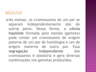  Na meiose, os cromossomos de um par se
separam independentemente dos de
outros pares. Dessa forma, a célula
haplóide formada pela meiose (gameta)
pode conter um cromossomo de origem
paterna de um par de homólogos e um de
origem materna de outro par. Essa
segregação independente dos
cromossomos é aleatória e gera diversas
combinações nos gametas produzidos.
 