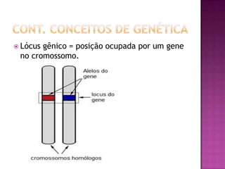  Lócus gênico = posição ocupada por um gene
no cromossomo.
 