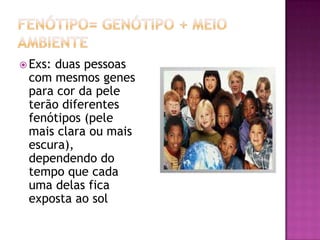  Exs: duas pessoas
com mesmos genes
para cor da pele
terão diferentes
fenótipos (pele
mais clara ou mais
escura),
dependendo do
tempo que cada
uma delas fica
exposta ao sol
 