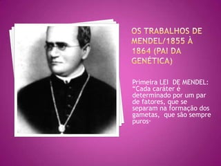Primeira LEI DE MENDEL:
“Cada caráter é
determinado por um par
de fatores, que se
separam na formação dos
gametas, que são sempre
puros”
 