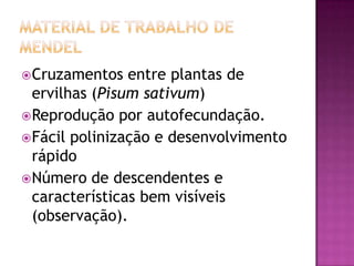 Cruzamentos entre plantas de
ervilhas (Pisum sativum)
Reprodução por autofecundação.
Fácil polinização e desenvolvimento
rápido
Número de descendentes e
características bem visíveis
(observação).
 