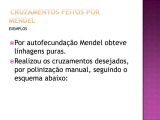 EXEMPLOS
Por autofecundação Mendel obteve
linhagens puras.
Realizou os cruzamentos desejados,
por polinização manual, seguindo o
esquema abaixo:
 