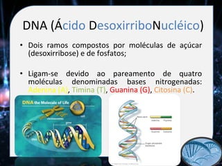 DNA (Ácido DesoxirriboNucléico)
• Dois ramos compostos por moléculas de açúcar
  (desoxirribose) e de fosfatos;

• Ligam-se devido ao pareamento de quatro
  moléculas denominadas bases nitrogenadas:
  Adenina (A), Timina (T), Guanina (G), Citosina (C).
 