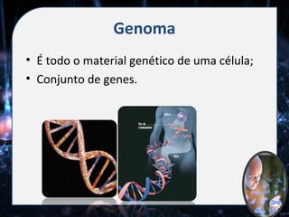 Genoma
• É todo o material genético de uma célula;
• Conjunto de genes.
 