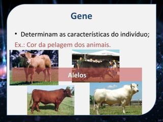 Gene
• Determinam as características do indivíduo;
Ex.: Cor da pelagem dos animais.



                 Alelos
 