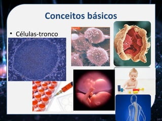 Conceitos básicos
• Células-tronco
 