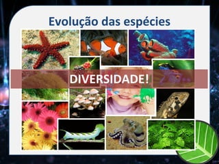 Evolução das espécies



   DIVERSIDADE!
 