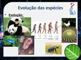 Evolução das espécies
• Evolução:
 
