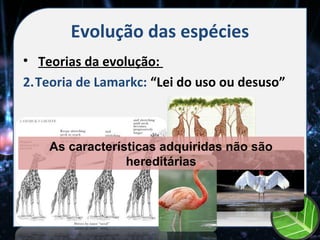 Evolução das espécies
• Teorias da evolução:
2.Teoria de Lamarkc: “Lei do uso ou desuso”



    As características adquiridas não são
                 hereditárias
 
