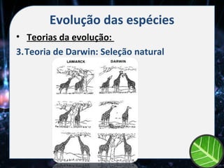 Evolução das espécies
• Teorias da evolução:
3.Teoria de Darwin: Seleção natural
 