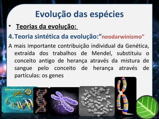 Evolução das espécies
• Teorias da evolução:
4.Teoria sintética da evolução:“neodarwinismo”
A mais importante contribuição individual da Genética,
  extraída dos trabalhos de Mendel, substituiu o
  conceito antigo de herança através da mistura de
  sangue pelo conceito de herança através de
  partículas: os genes
 
