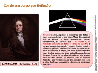 ISAAC NEWTON - Cambridge - 1670
Cor de um corpo por Reflexão
Newton foi além, repetindo a experiência com todas as
raias correspondentes às sete cores. Mas a decomposição
não se repetia: as cores permaneciam simples.
Inversamente, ele concluiu que a luz branca é, na
realidade, composta de todas as cores do espectro. E
provou isso reunindo as raias coloridas de duas maneiras
diferentes: primeiro, mediante uma lente, obtendo, em seu
foco, a luz branca; e, depois, por meio de um dispositivo
mais simples, que passou a ser conhecido como disco de
Newton. Trata-se de um disco dividido em sete setores,
cada um deles pintado com uma das cores do espectro.
Fazendo-o girar rapidamente, as cores se superpõem sobre
a retina do olho do observador e este recebe a sensação do
branco (5).
Imagem:
(a)
Sir
Godfrey
Kneller
/
National
Portrait
Gallery,
London
/
Public
Domain
e
(b)
John
Roland
Hans
Penner
/
GNU
Fre
Documentation
License.
 