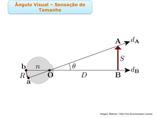 Ângulo Visual – Sensação de
Tamanho
Imagem: Melchoir / GNU Free Documentation License.
 