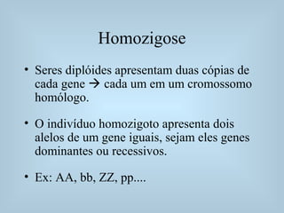 Homozigose
• Seres diplóides apresentam duas cópias de
cada gene  cada um em um cromossomo
homólogo.
• O indivíduo homozigoto apresenta dois
alelos de um gene iguais, sejam eles genes
dominantes ou recessivos.
• Ex: AA, bb, ZZ, pp....
 