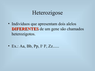 Heterozigose
• Indivíduos que apresentam dois alelos
DIFERENTESDIFERENTES de um gene são chamados
heterozigotos.
• Ex.: Aa, Bb, Pp, IA
IB
, Zz......
 
