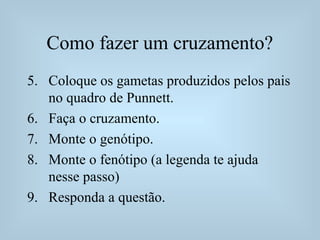 Como fazer um cruzamento?
5. Coloque os gametas produzidos pelos pais
no quadro de Punnett.
6. Faça o cruzamento.
7. Monte o genótipo.
8. Monte o fenótipo (a legenda te ajuda
nesse passo)
9. Responda a questão.
 