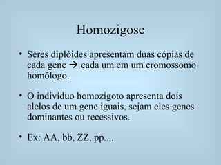 Homozigose
• Seres diplóides apresentam duas cópias de
cada gene  cada um em um cromossomo
homólogo.
• O indivíduo homozi...