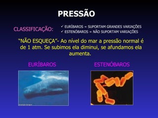 PRESSÃO CLASSIFICAÇÃO: EURÍBAROS = SUPORTAM GRANDES VARIAÇÕES ESTENÓBAROS = NÃO SUPORTAM VARIAÇÕES “ NÃO ESQUEÇA”- Ao nível do mar a pressão normal é de 1 atm. Se subimos ela diminui, se afundamos ela aumenta.  EURÍBAROS ESTENÓBAROS 
