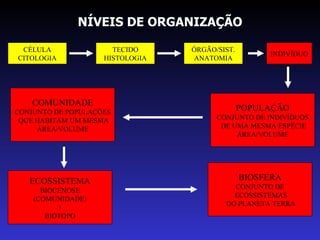 NÍVEIS DE ORGANIZAÇÃO CÉLULA CITOLOGIA TECIDO HISTOLOGIA INDIVÍDUO ÓRGÃO/SIST. ANATOMIA POPULAÇÃO CONJUNTO DE INDIVÍDUOS DE UMA MESMA ESPÉCIE ÁREA/VOLUME COMUNIDADE CONJUNTO DE POPULAÇÕES QUE HABITAM UM MESMA ÁREA/VOLUME ECOSSISTEMA BIOCENOSE (COMUNIDADE) + BIÓTOPO BIOSFERA CONJUNTO DE ECOSSISTEMAS DO PLANETA TERRA 