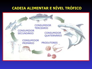 CADEIA ALIMENTAR E NÍVEL TRÓFICO PRODUTORES CONSUMIDOR PRIMÁRIO CONSUMIDOR SECUNDÁRIO CONSUMIDOR TERCEÁRIO CONSUMIDOR QUATERNÁRIO 