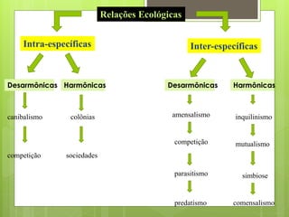 Relações Ecológicas
Intra-específicas
Desarmônicas Harmônicas
competição
canibalismo colônias
sociedades
Inter-específicas
Desarmônicas Harmônicas
mutualismo
simbiose
inquilinismo
parasitismo
competição
amensalismo
predatismo comensalismo
 