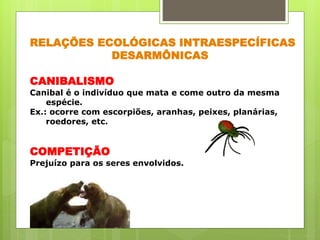 RELAÇÕES ECOLÓGICAS INTRAESPECÍFICAS
DESARMÔNICAS
CANIBALISMO
Canibal é o indivíduo que mata e come outro da mesma
espécie.
Ex.: ocorre com escorpiões, aranhas, peixes, planárias,
roedores, etc.
COMPETIÇÃO
Prejuízo para os seres envolvidos.
 