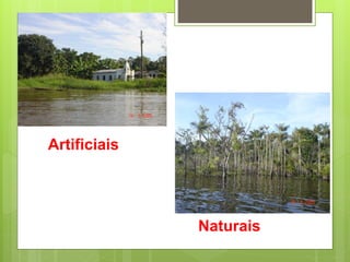 Artificiais
Naturais
 