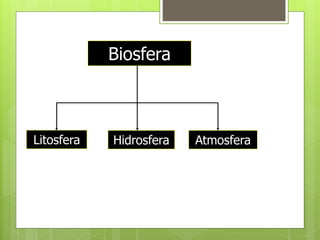 Litosfera Hidrosfera Atmosfera
Biosfera
 