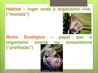 Hábitat – lugar onde o organismo vive
(“morada”)
Nicho Ecológico – papel que o
organismo exerce no ecossistema
(“profissão”)
 