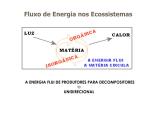 Fluxo de Energia nos Ecossistemas
A ENERGIA FLUI DE PRODUTORES PARA DECOMPOSITORES

UNIDIRECIONAL
 