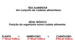 TEIA ALIMENTAR
Um conjunto de cadeias alimentares.
NÍVEL TRÓFICO
Posição do organismo numa cadeia alimentar.
PLANTA > HERBÍVORO > CARNÍVORO
1º Nível Trófico 2º Nível Trófico 3ºNível Trófico
 