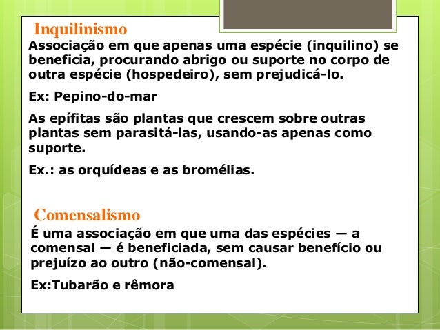 Onde é melhor fazer testes em parasitas em SPb