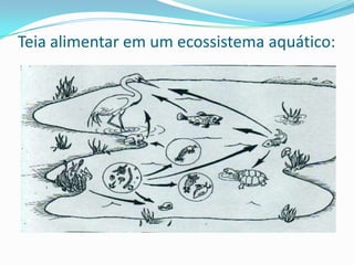 Síntese de Compostos OrgânicosFotossínteseRespiração 