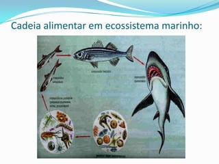 Síntese de Compostos OrgânicosFotossínteseRespiração 