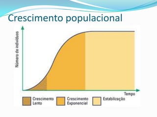 Cadeia alimentar em ecossistema marinho: