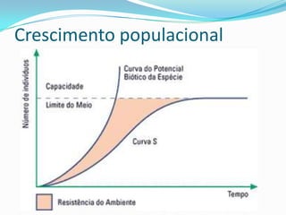 Cadeia alimentar em ecossitema terrestre: