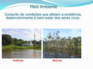 LOGOS –EstudoCiência que estuda as relações entre os seres vivos e desses com o ambiente.