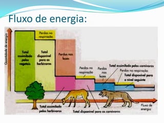 ConceitosEpidemia: situação onde ocorre aumento exagerado do número de casos de uma doença em uma certa população , numa certa época do ano;Endemia: é a situação em que uma doença acomete um número constante de indivíduos de uma espécie ,ao longo do tempo;Pândemia:é uma situação em que uma epidemia ocorre simultaneamente em vários locais do planeta.