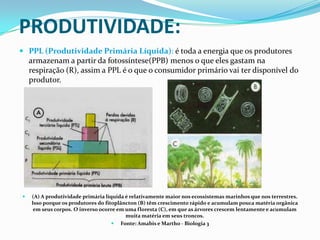 Fluxo de Energia nos Ecossistemas