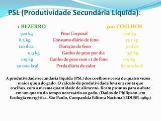 PIRÂMIDESBiomassa:corresponde a matéria orgânica de cada nível trófico (sua pirâmide é igual a de energia já que a energia está na biomassa, assim quanto maior a biomassa, maior a energia). Energia:corresponde a energia contida na biomassa de cada nível trófico, assim cada parte da pirâmide terá indicada a energia de um nível trófico. Números:a largura dos níveis representam o número de representantes de cada espécie naquela cadeia alimentar; é a mais variada.