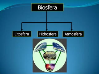 BiosferaConjunto de todas as partes da terra onde é possível, pelo menos algumas espécies de organismos, viver permanentemente, alimentar-se e reproduzir-se.