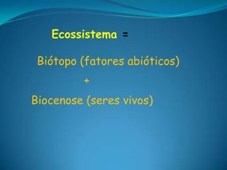 BiosferaLitosferaHidrosferaAtmosfera