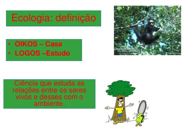Analise As Proposições Em Relação A Ecologia